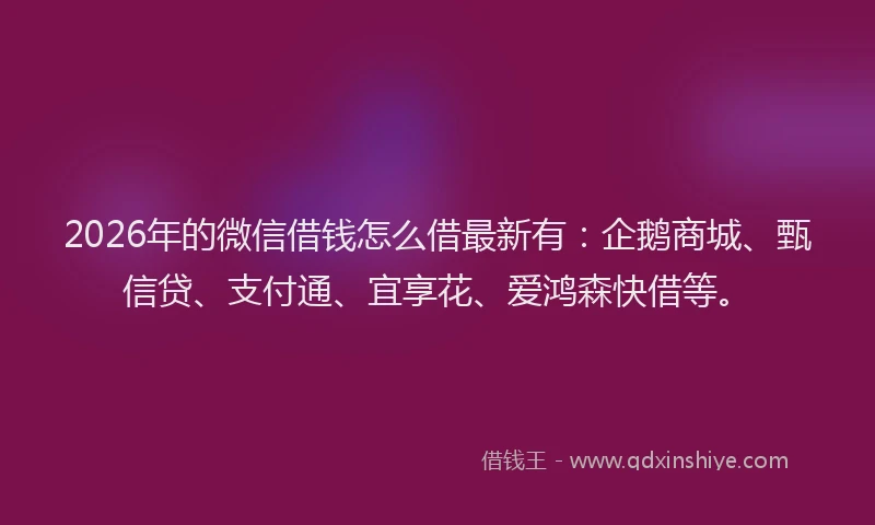 2026年的微信借钱怎么借最新有：企鹅商城、甄信贷、支付通、宜享花、爱鸿森快借等。