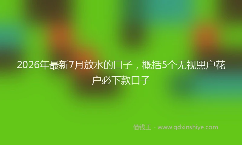 2026年最新7月放水的口子，概括5个无视黑户花户必下款口子