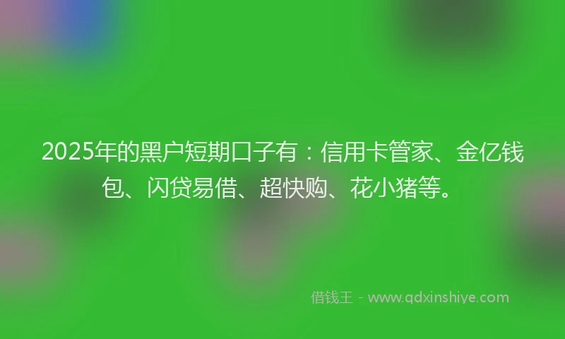 2025年的黑户短期口子有:信用卡管家、金亿钱包、闪贷易借、超快购、花小猪等。