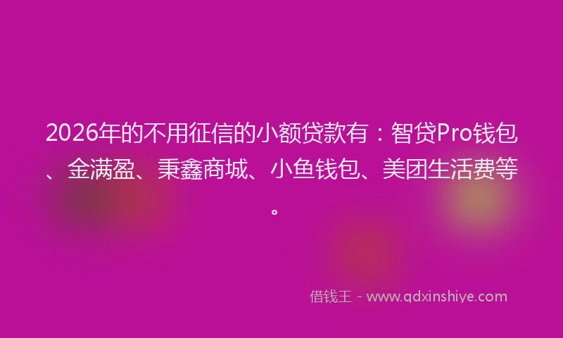 2026年的不用征信的小额贷款有：智贷Pro钱包、金满盈、秉鑫商城、小鱼钱包、美团生活费等。