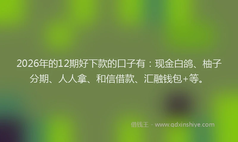 2026年的12期好下款的口子有：现金白鸽、柚子分期、人人拿、和信借款、汇融钱包+等。