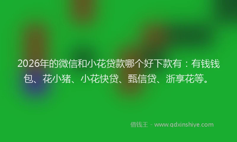 2026年的微信和小花贷款哪个好下款有：有钱钱包、花小猪、小花快贷、甄信贷、浙享花等。