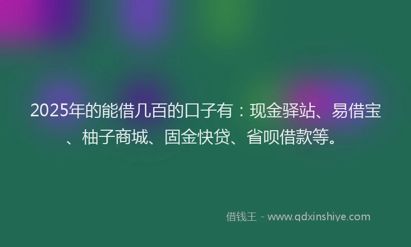 2025年的能借几百的口子有：现金驿站、易借宝、柚子商城、固金快贷、省呗借款等。