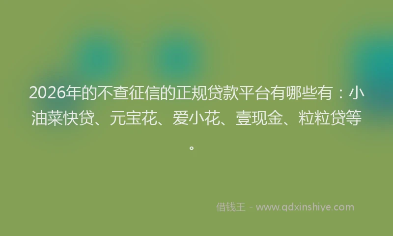 2026年的不查征信的正规贷款平台有哪些有:小油菜快贷、元宝花、爱小花、壹现金、粒粒贷等。