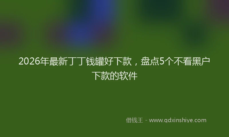 2026年最新丁丁钱罐好下款，盘点5个不看黑户下款的软件