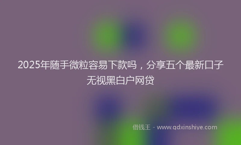 2025年随手微粒容易下款吗,分享五个最新口子无视黑白户网贷