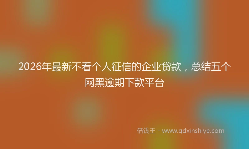 2026年最新不看个人征信的企业贷款,总结五个网黑逾期下款平台