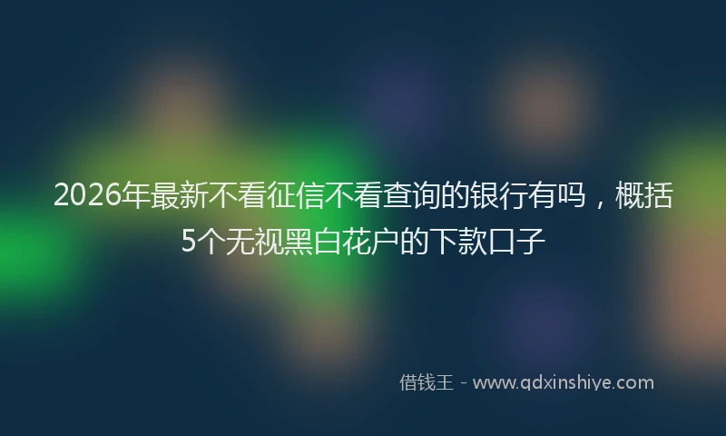 2026年最新不看征信不看查询的银行有吗,概括5个无视黑白花户的下款口子