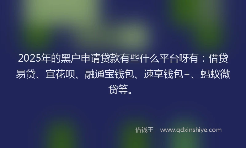2025年的黑户申请贷款有些什么平台呀有:借贷易贷、宜花呗、融通宝钱包、速享钱包+、蚂蚁微贷等。