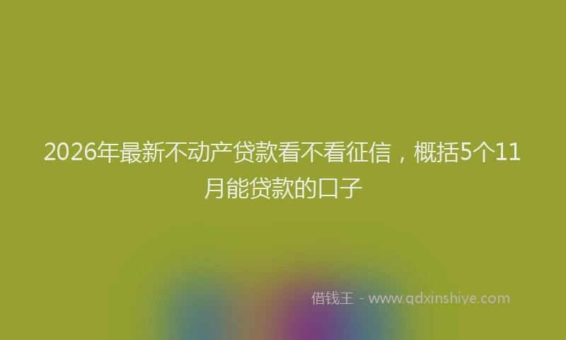2026年最新不动产贷款看不看征信，概括5个11月能贷款的口子