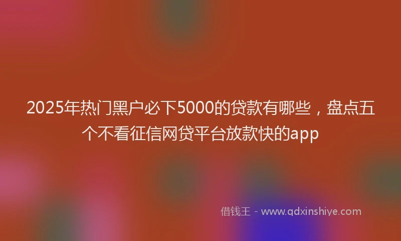 2025年热门黑户必下5000的贷款有哪些，盘点五个不看征信网贷平台放款快的app