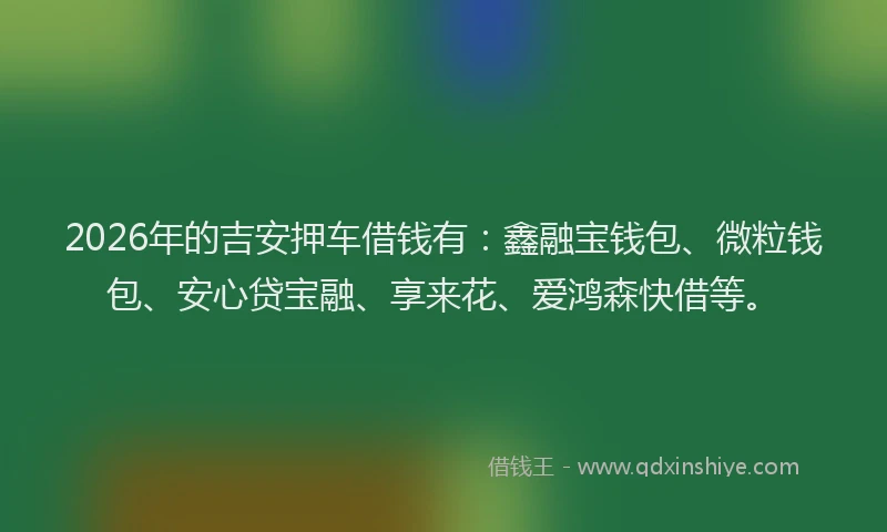 2026年的吉安押车借钱有:鑫融宝钱包、微粒钱包、安心贷宝融、享来花、爱鸿森快借等。