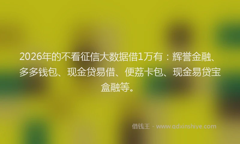 2026年的不看征信大数据借1万有：辉誉金融、多多钱包、现金贷易借、便荔卡包、现金易贷宝盒融等。