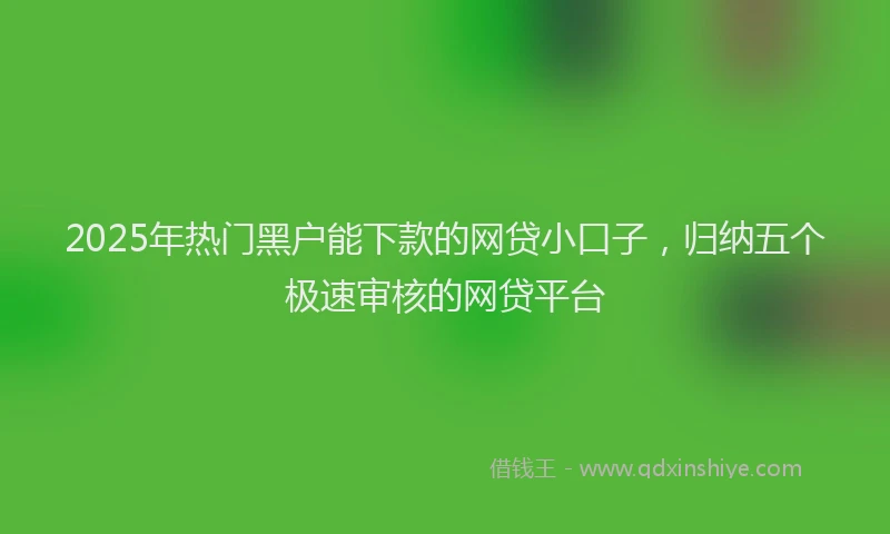 2025年热门黑户能下款的网贷小口子，归纳五个极速审核的网贷平台