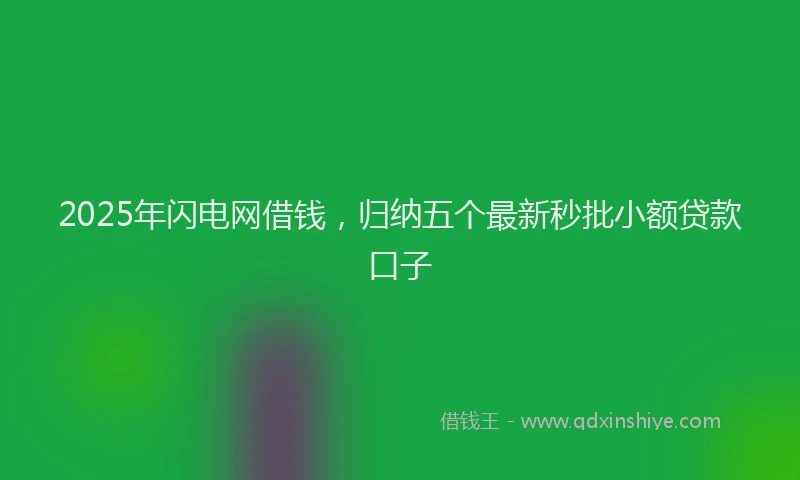 2025年闪电网借钱，归纳五个最新秒批小额贷款口子