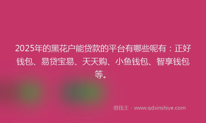2025年的黑花户能贷款的平台有哪些呢有：正好钱包、易贷宝易、天天购、小鱼钱包、智享钱包等。