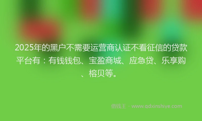 2025年的黑户不需要运营商认证不看征信的贷款平台有：有钱钱包、宝盈商城、应急贷、乐享购、榕贝等。