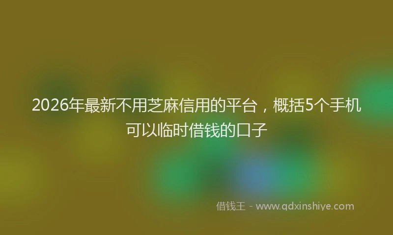 2026年最新不用芝麻信用的平台,概括5个手机可以临时借钱的口子