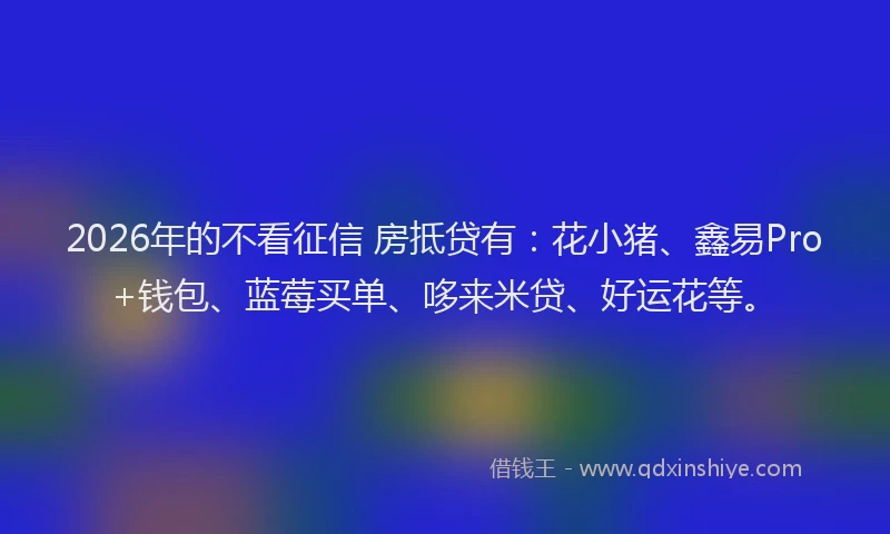 2026年的不看征信 房抵贷有:花小猪、鑫易Pro+钱包、蓝莓买单、哆来米贷、好运花等。