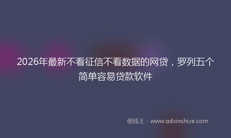 2026年最新不看征信不看数据的网贷,罗列五个简单容易贷款软件