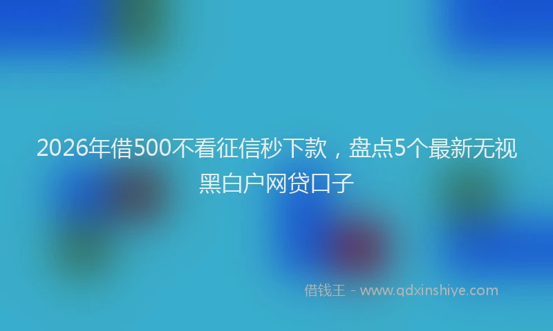 2026年借500不看征信秒下款，盘点5个最新无视黑白户网贷口子