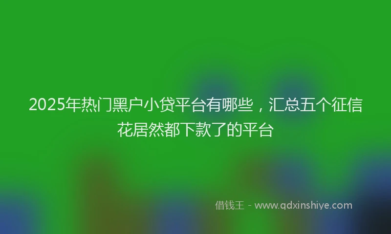 2025年热门黑户小贷平台有哪些,汇总五个征信花居然都下款了的平台