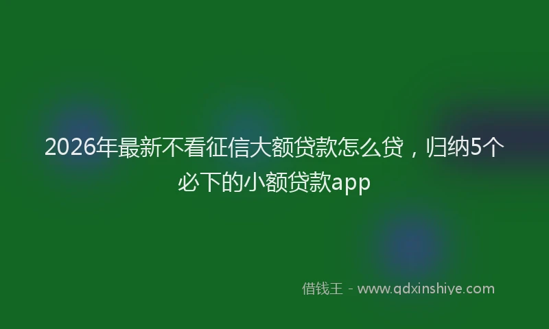 2026年最新不看征信大额贷款怎么贷，归纳5个必下的小额贷款app