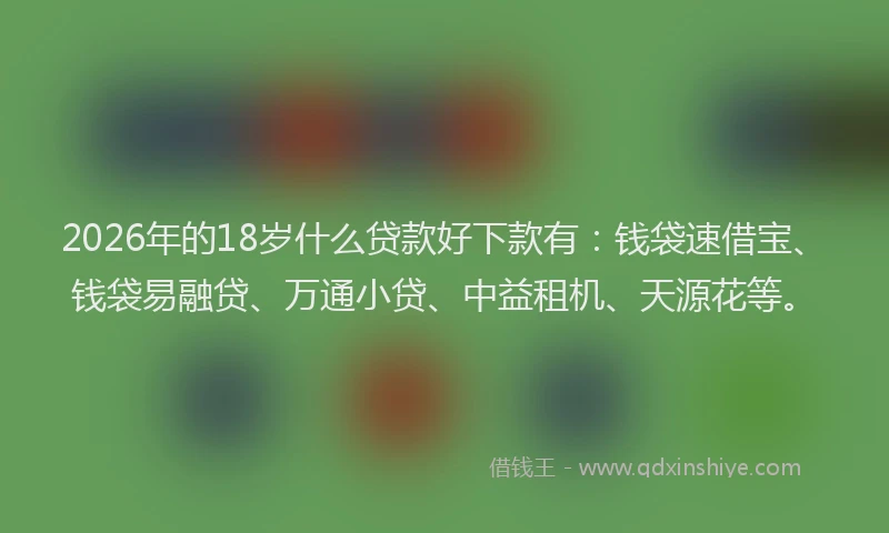 2026年的18岁什么贷款好下款有：钱袋速借宝、钱袋易融贷、万通小贷、中益租机、天源花等。