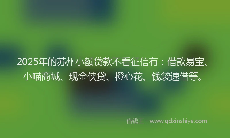 2025年的苏州小额贷款不看征信有：借款易宝、小喵商城、现金侠贷、橙心花、钱袋速借等。