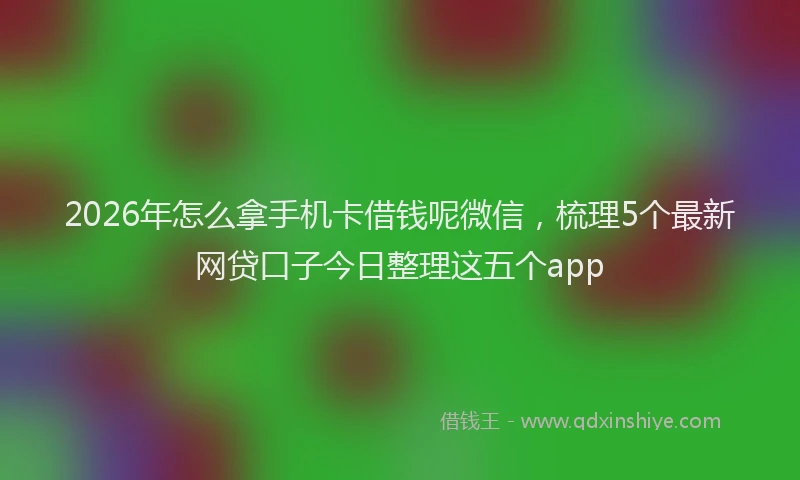 2026年怎么拿手机卡借钱呢微信，梳理5个最新网贷口子今日整理这五个app