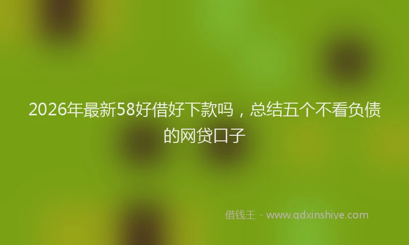 2026年最新58好借好下款吗,总结五个不看负债的网贷口子