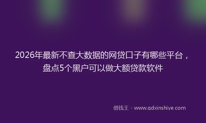 2026年最新不查大数据的网贷口子有哪些平台，盘点5个黑户可以做大额贷款软件