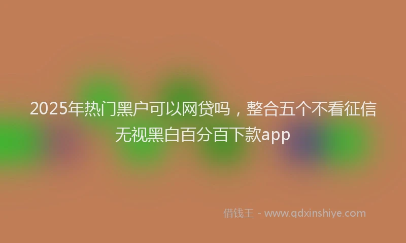 2025年热门黑户可以网贷吗，整合五个不看征信无视黑白百分百下款app