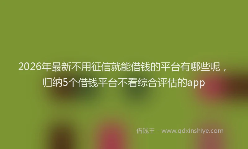 2026年最新不用征信就能借钱的平台有哪些呢,归纳5个借钱平台不看综合评估的app