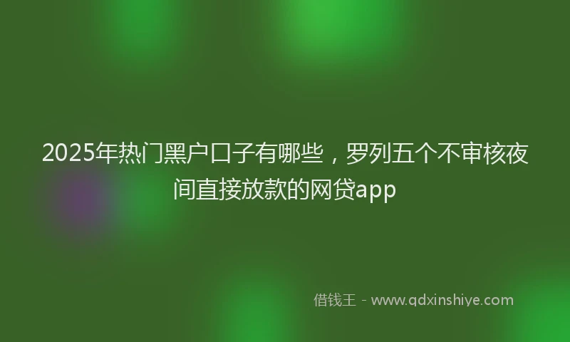 2025年热门黑户口子有哪些，罗列五个不审核夜间直接放款的网贷app