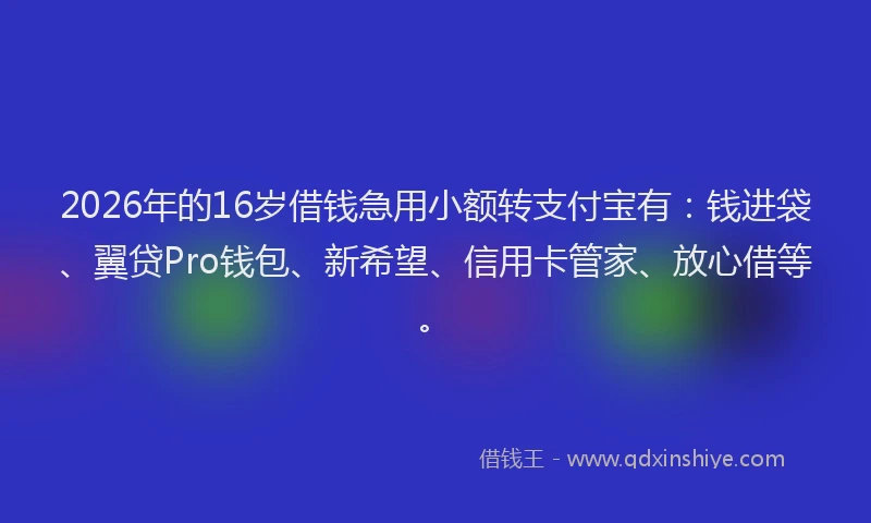 2026年的16岁借钱急用小额转支付宝有:钱进袋、翼贷Pro钱包、新希望、信用卡管家、放心借等。
