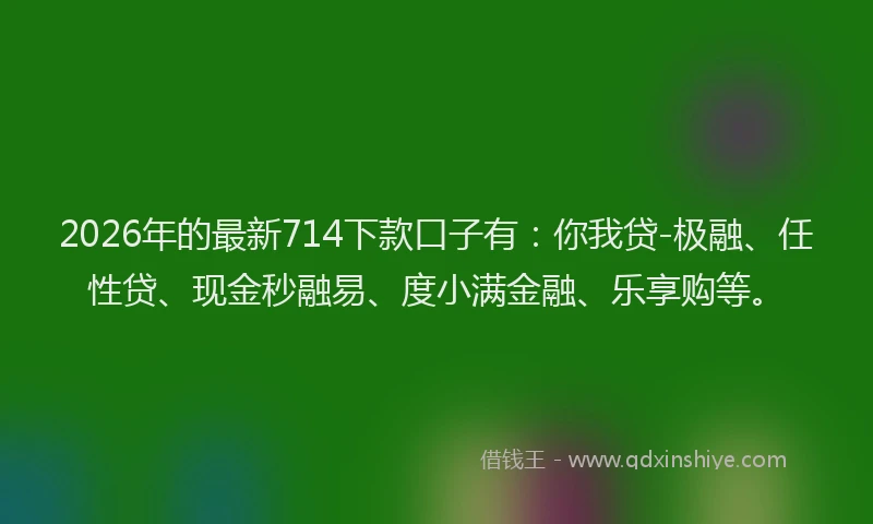 2026年的最新714下款口子有:你我贷-极融、任性贷、现金秒融易、度小满金融、乐享购等。