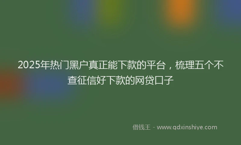 2025年热门黑户真正能下款的平台,梳理五个不查征信好下款的网贷口子
