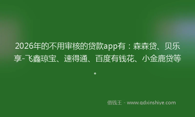 2026年的不用审核的贷款app有:森森贷、贝乐享-飞鑫琼宝、速得通、百度有钱花、小金鹿贷等。