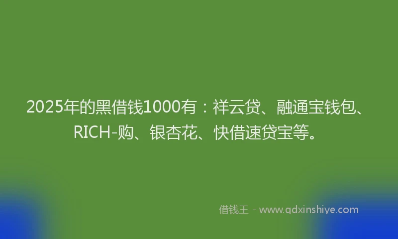 2025年的黑借钱1000有：祥云贷、融通宝钱包、RICH-购、银杏花、快借速贷宝等。