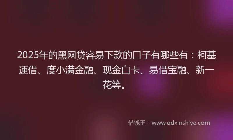 2025年的黑网贷容易下款的口子有哪些有：柯基速借、度小满金融、现金白卡、易借宝融、新一花等。