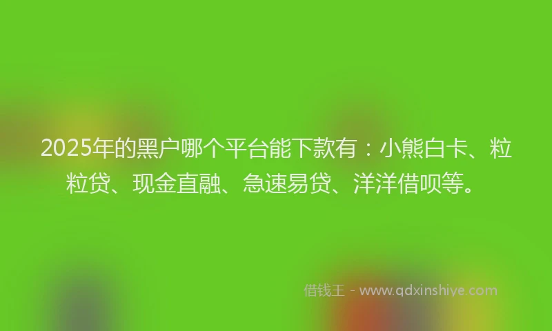 2025年的黑户哪个平台能下款有:小熊白卡、粒粒贷、现金直融、急速易贷、洋洋借呗等。