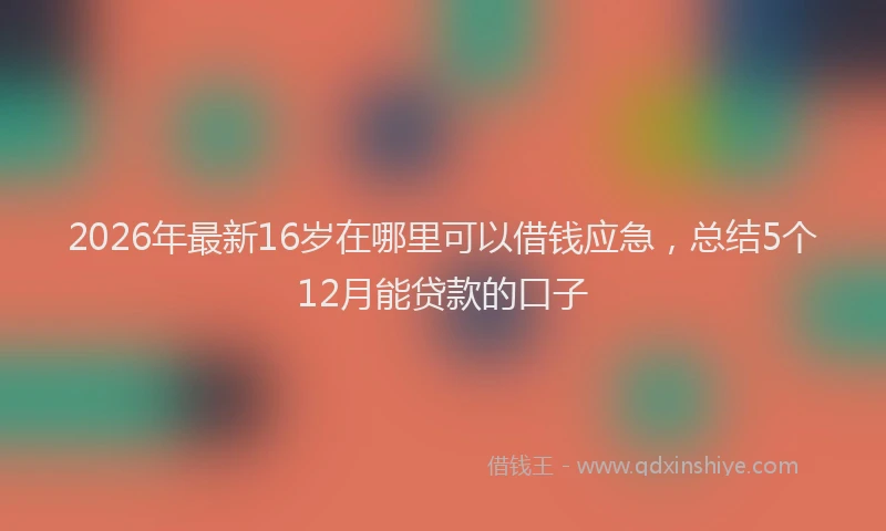 2026年最新16岁在哪里可以借钱应急,总结5个12月能贷款的口子