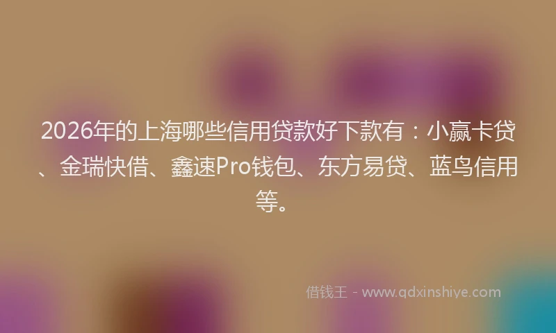 2026年的上海哪些信用贷款好下款有：小赢卡贷、金瑞快借、鑫速Pro钱包、东方易贷、蓝鸟信用等。