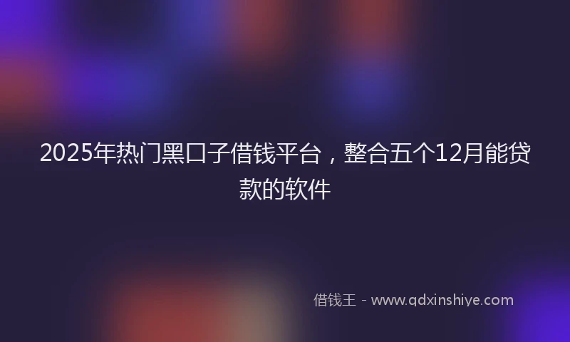 2025年热门黑口子借钱平台，整合五个12月能贷款的软件