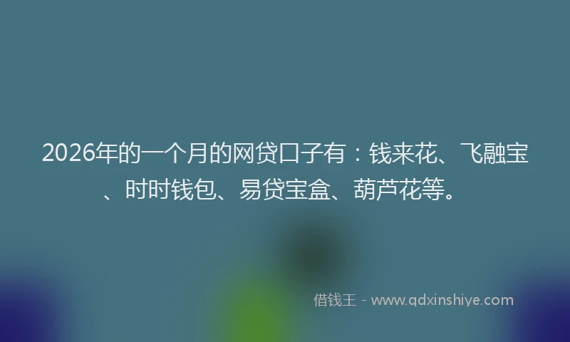 2026年的一个月的网贷口子有：钱来花、飞融宝、时时钱包、易贷宝盒、葫芦花等。