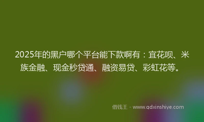 2025年的黑户哪个平台能下款啊有:宜花呗、米族金融、现金秒贷通、融资易贷、彩虹花等。