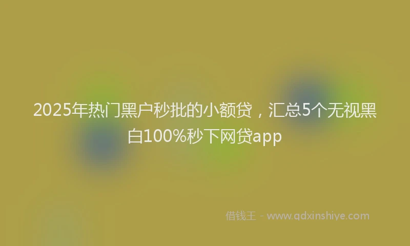 2025年热门黑户秒批的小额贷,汇总5个无视黑白100%秒下网贷app
