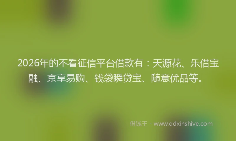 2026年的不看征信平台借款有：天源花、乐借宝融、京享易购、钱袋瞬贷宝、随意优品等。