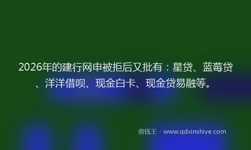 2026年的建行网申被拒后又批有：星贷、蓝莓贷、洋洋借呗、现金白卡、现金贷易融等。